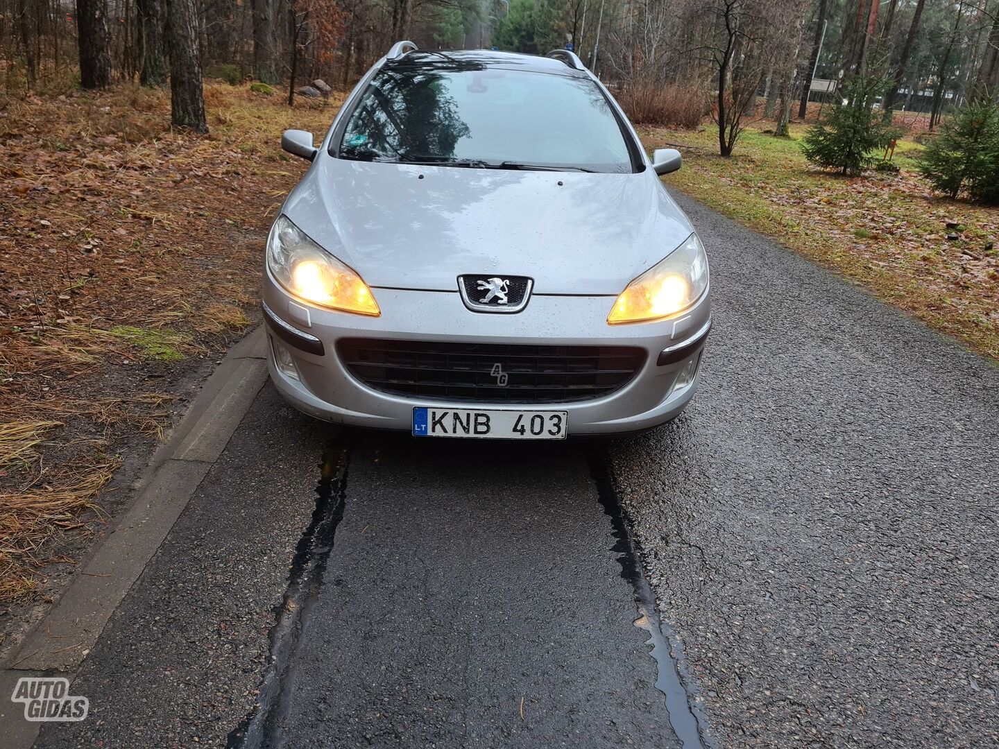 Peugeot 407 2006 y Wagon