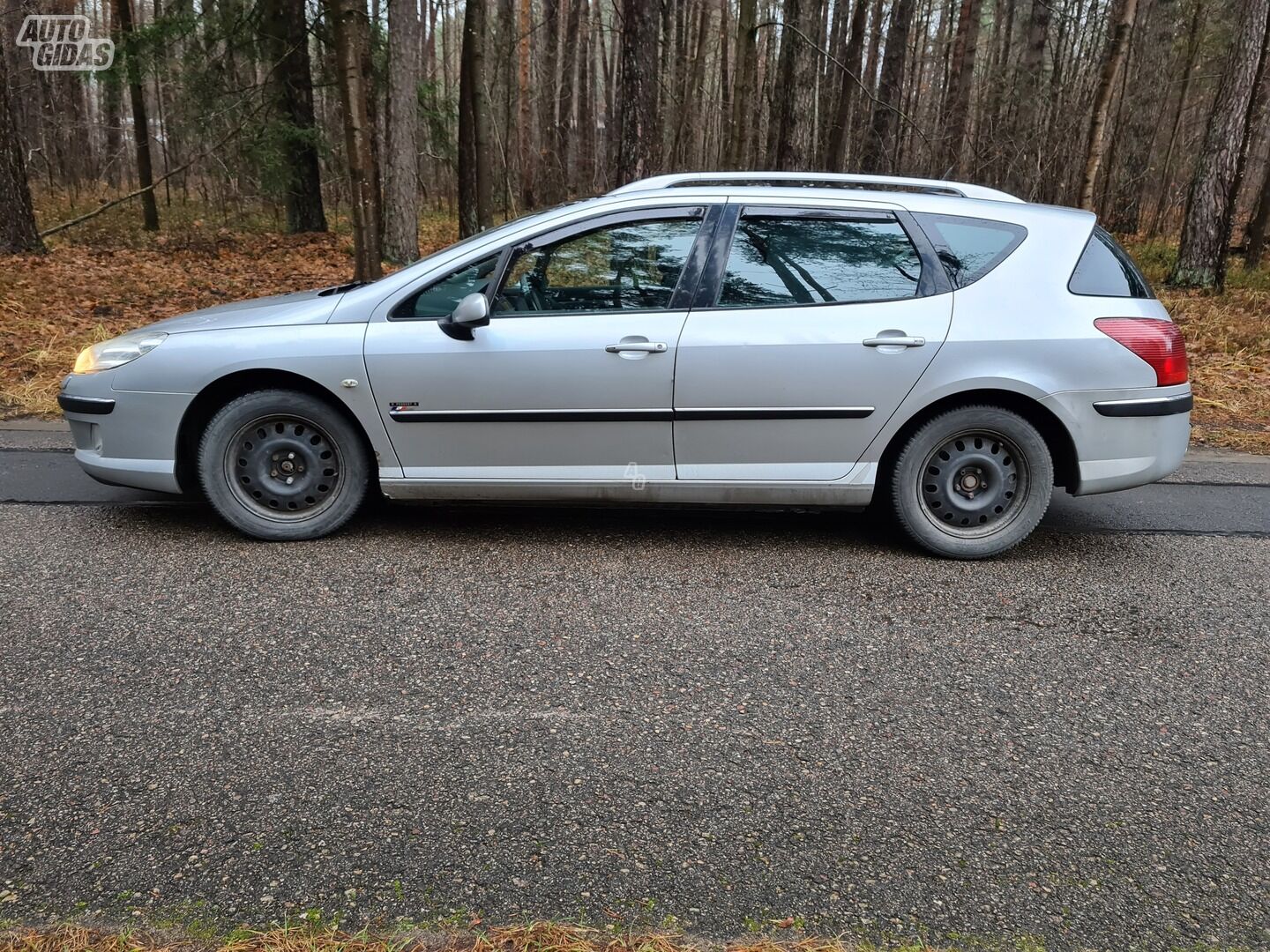 Peugeot 407 2006 y Wagon