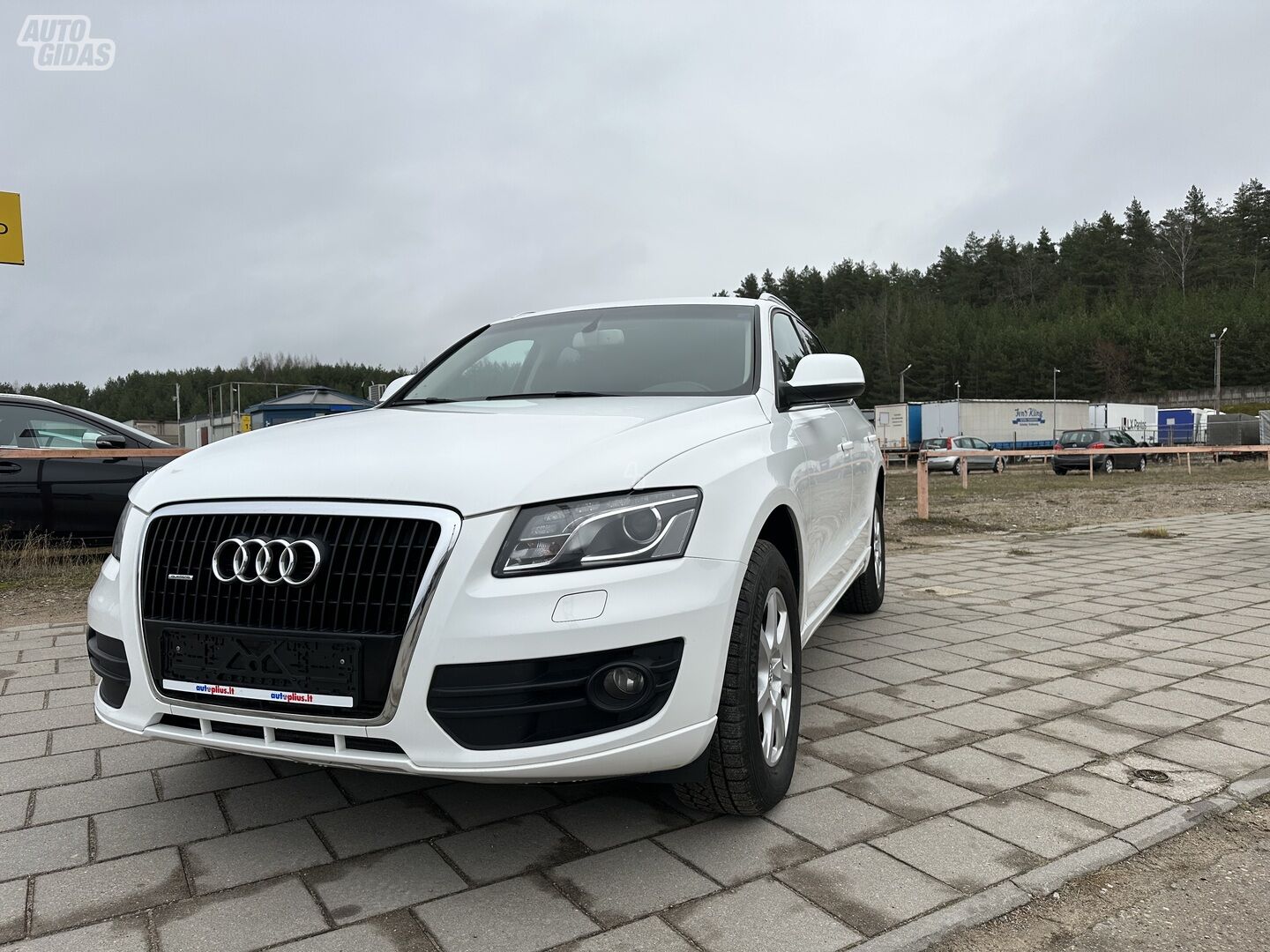 Audi Q5 2011 г Внедорожник / Кроссовер