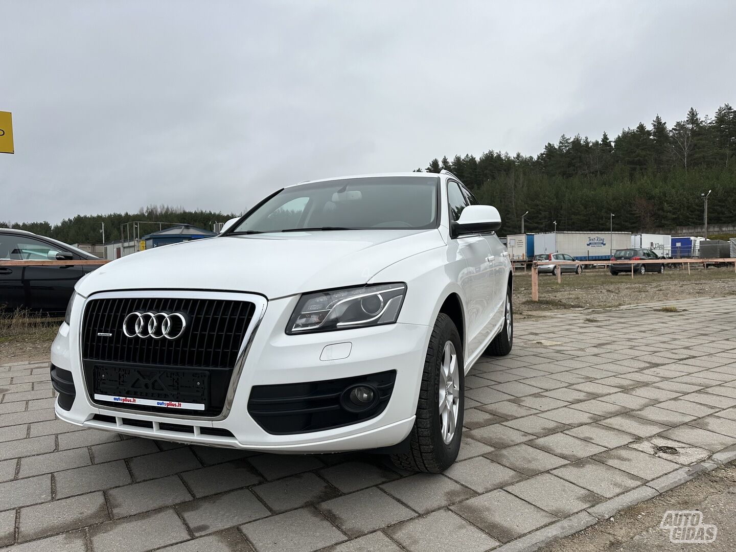 Audi Q5 2011 m Visureigis / Krosoveris