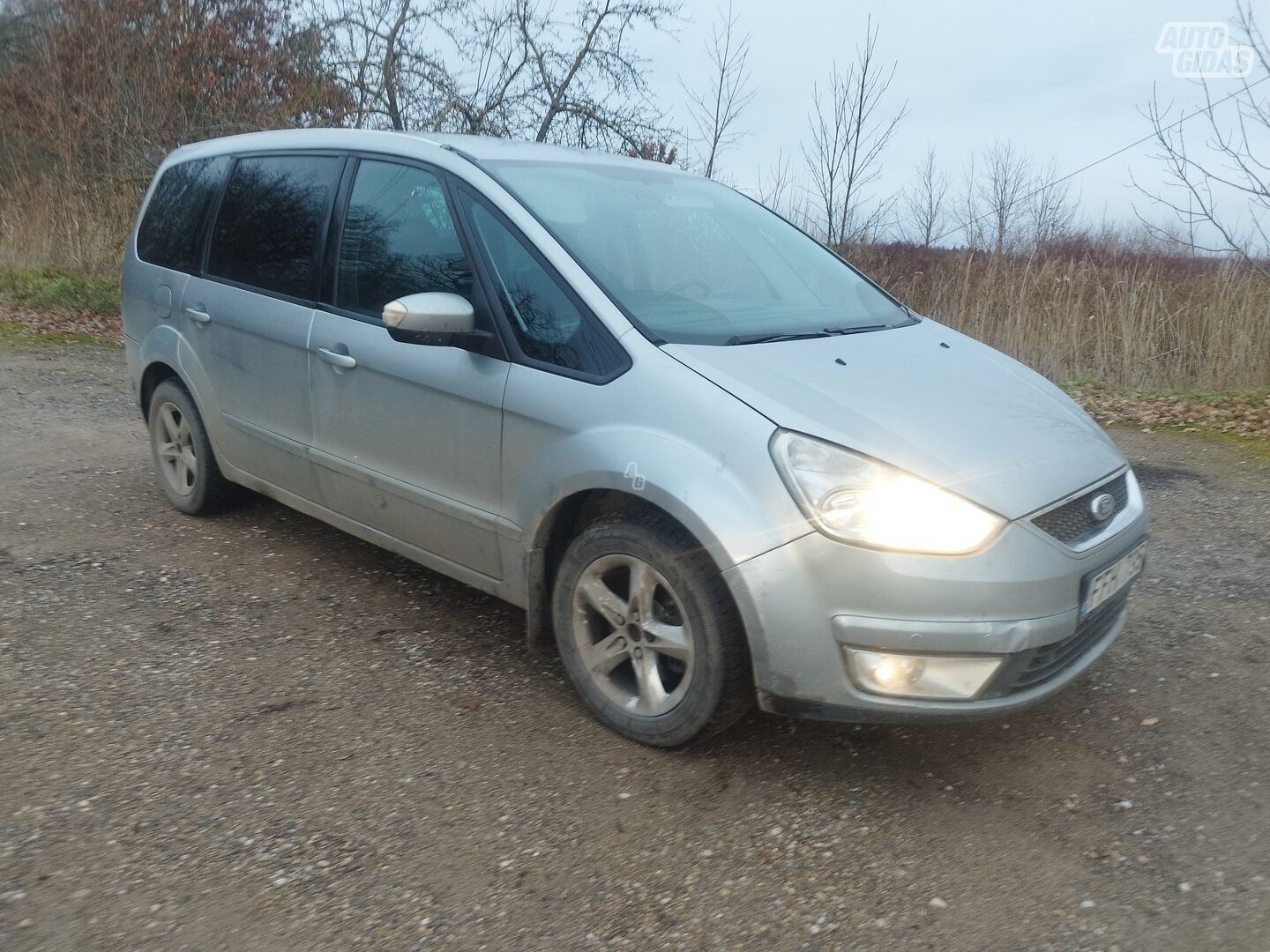 Ford Galaxy 2007 г Минивэн