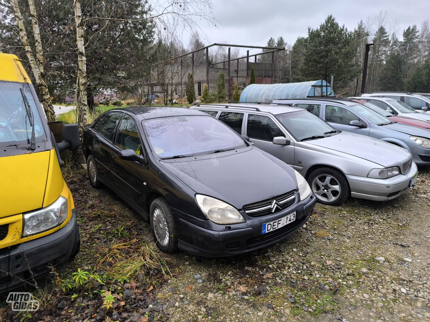 Citroen C5 2002 y Wagon