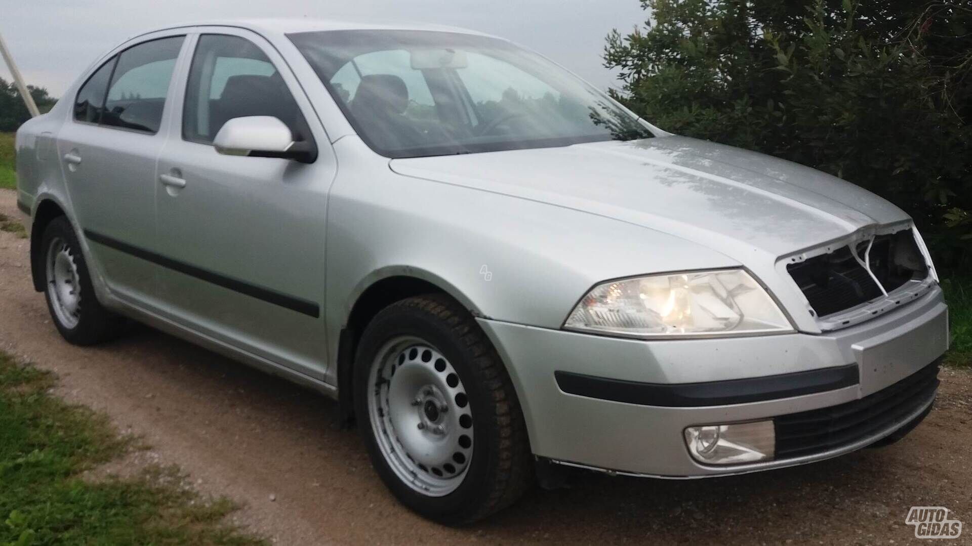 Skoda Octavia 2007 m Hečbekas