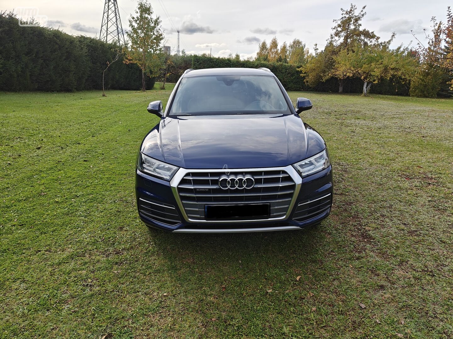 Audi Q5 2020 y Off-road / Crossover