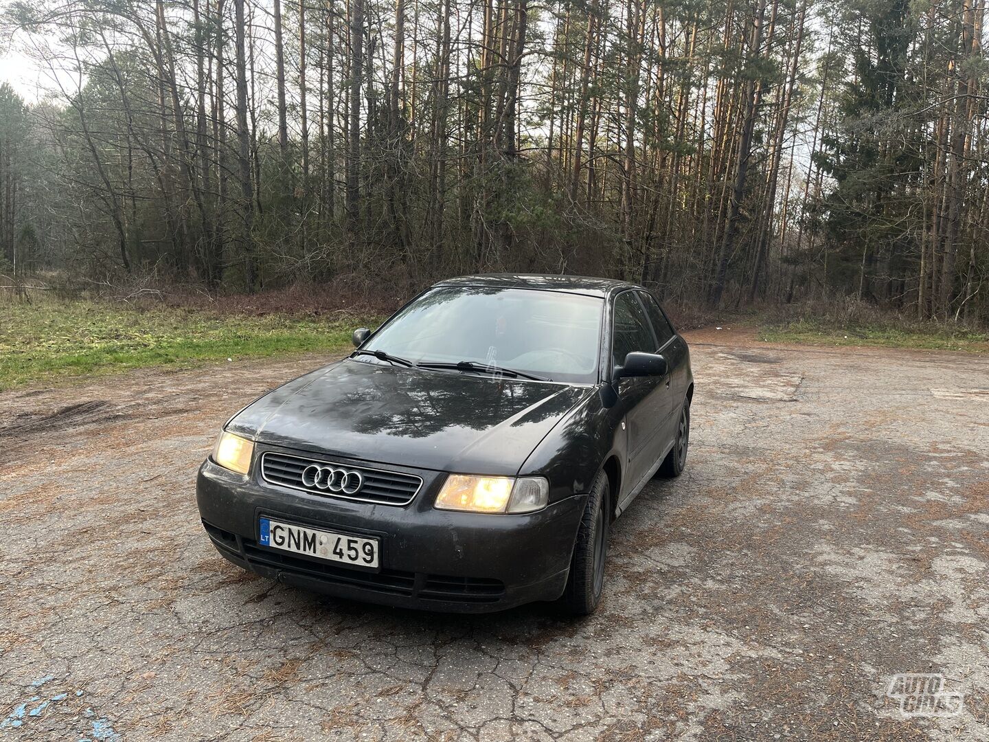 Audi A3 1997 m Hečbekas