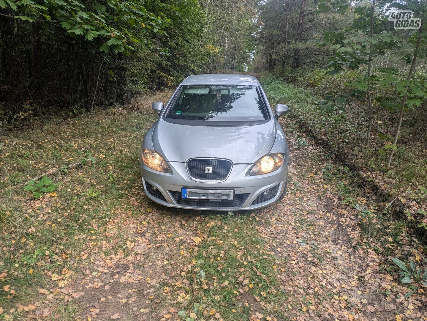 Seat Leon 2011 m Hečbekas