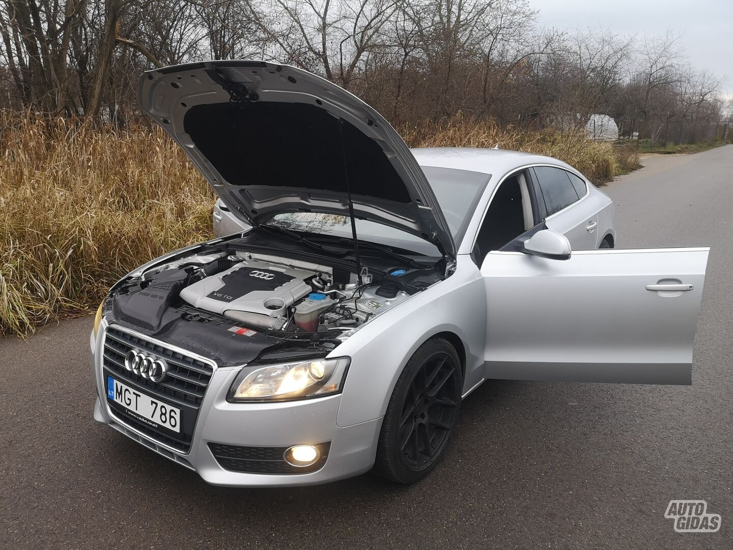 Audi A5 8TA SPORTBACK TDI 2009 y