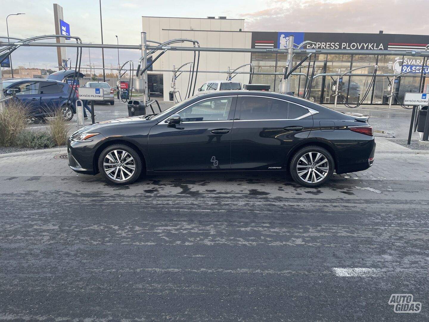 Lexus ES 300h 2021 m Sedanas