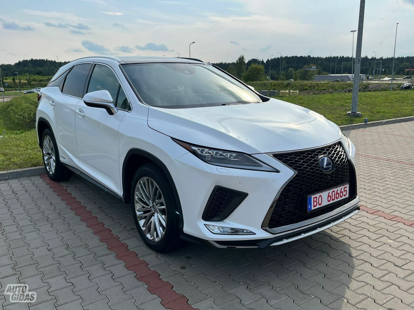 Lexus RX 450h 2020 m Visureigis / Krosoveris