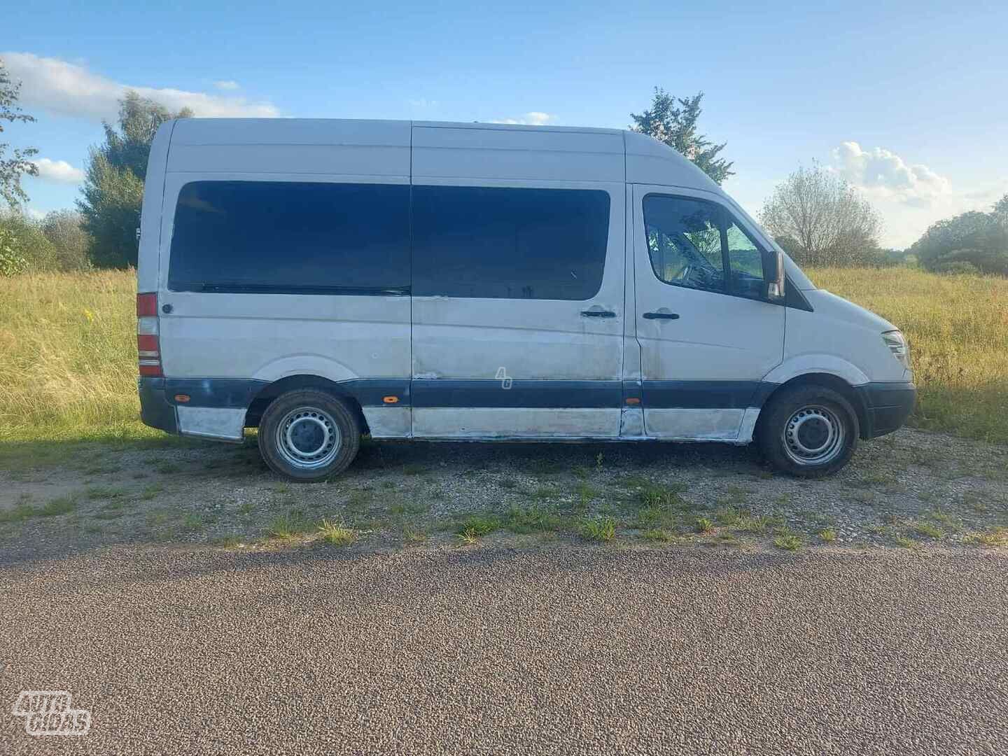 Mercedes-Benz Sprinter 2007 y Minibus