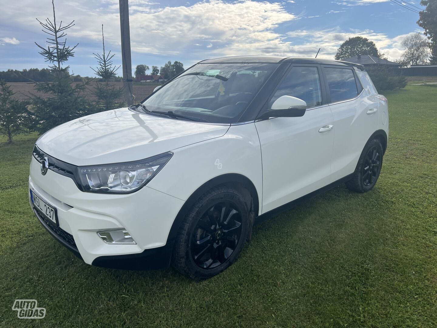 Ssangyong Tivoli 2015 m Visureigis / Krosoveris