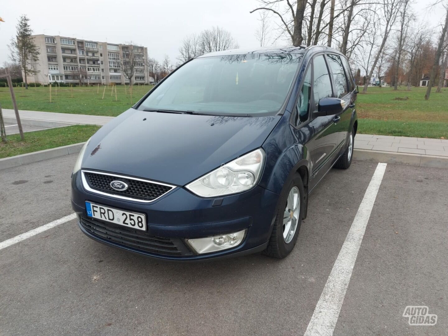 Ford Galaxy 2007 г Минивэн