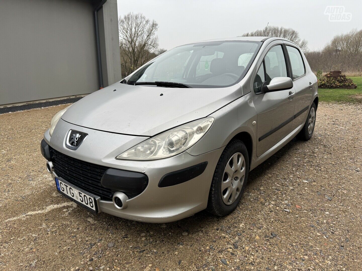 Peugeot 307 2005 y Hatchback