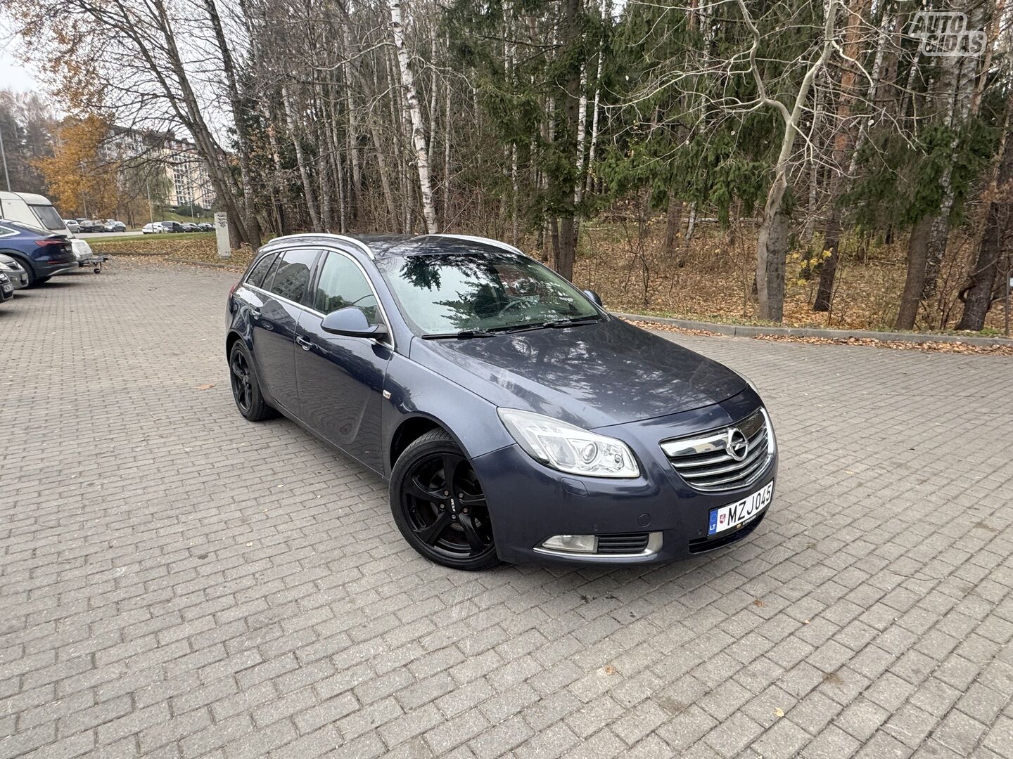 Opel Insignia 2009 y Wagon