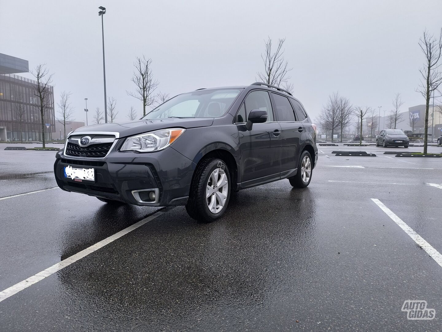 Subaru Forester 2014 y Off-road / Crossover