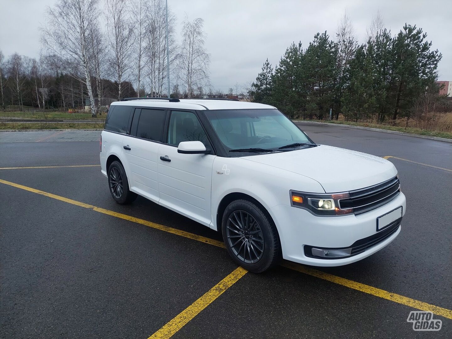 Ford Flex 2019 m Visureigis / Krosoveris