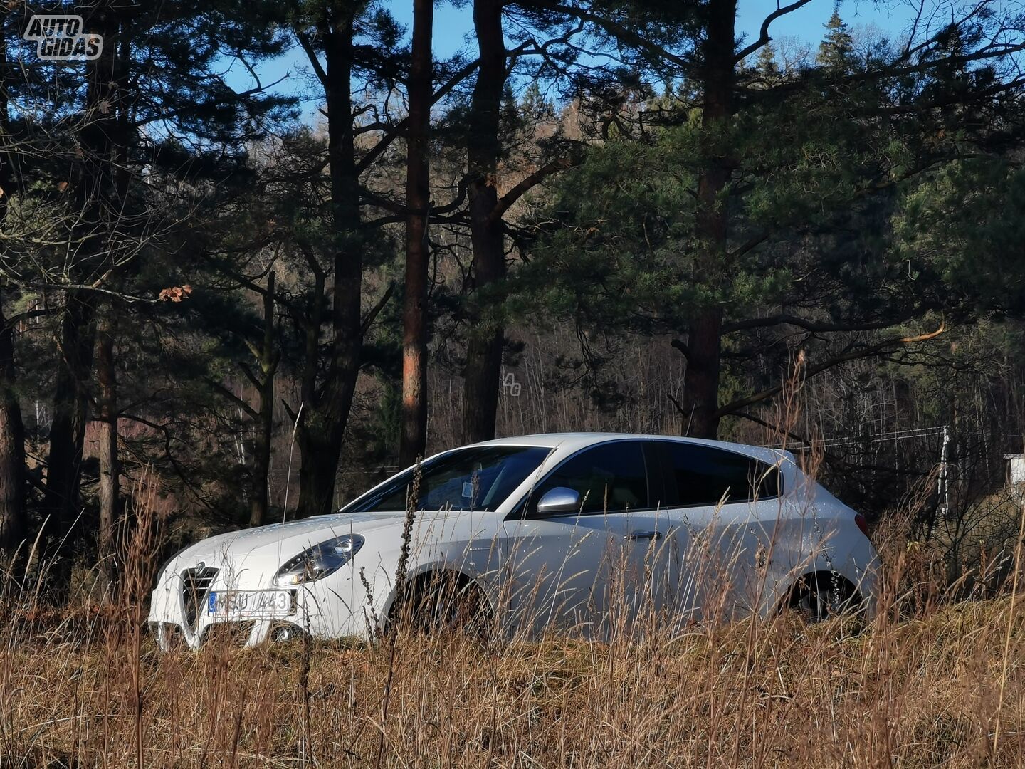 Alfa Romeo Giulietta JTDM 2014 m