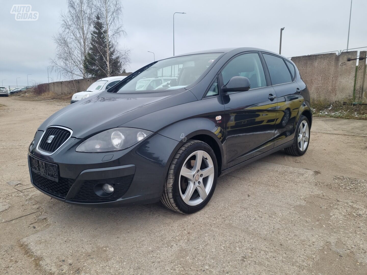 Seat Altea 2013 y Hatchback