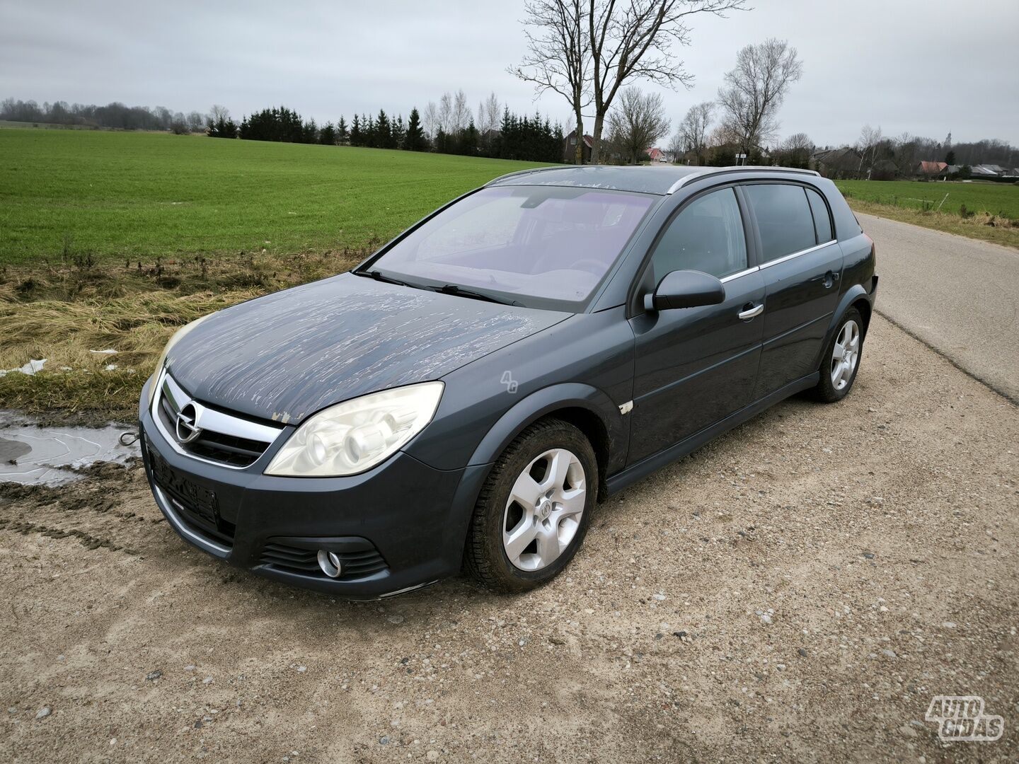 Opel Signum 2007 г Хэтчбек