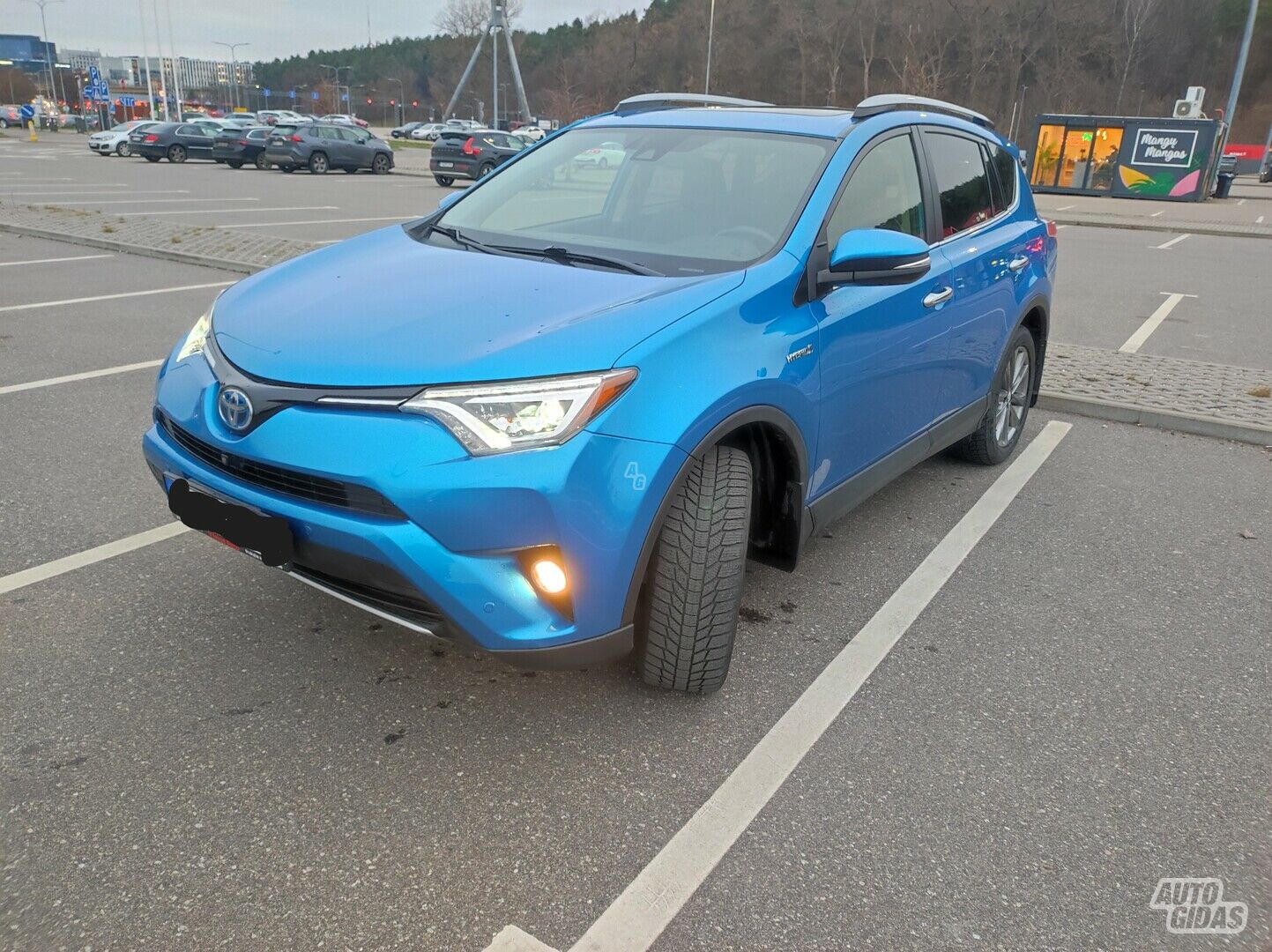 Toyota RAV4 2018 m Visureigis / Krosoveris