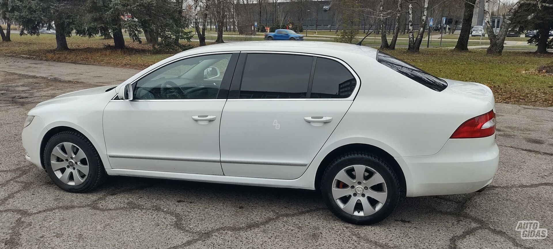 Skoda Superb TDI 2008 m