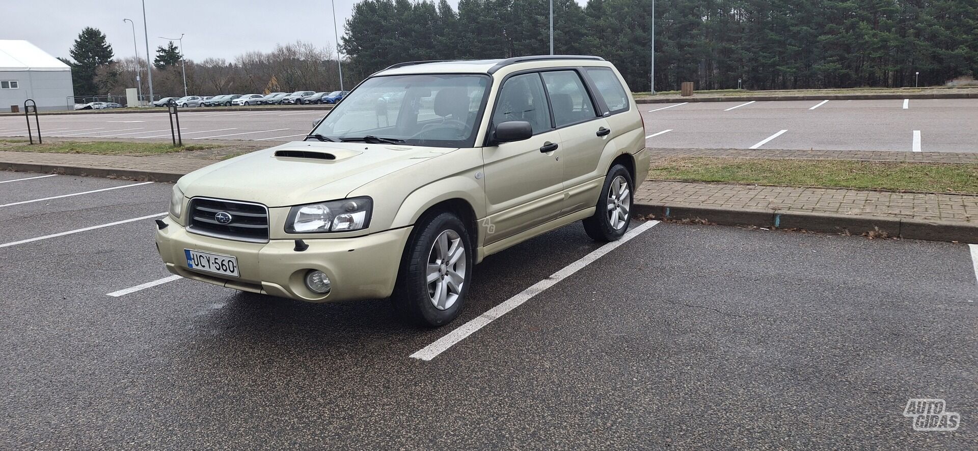 Subaru Forester 2004 m Visureigis / Krosoveris