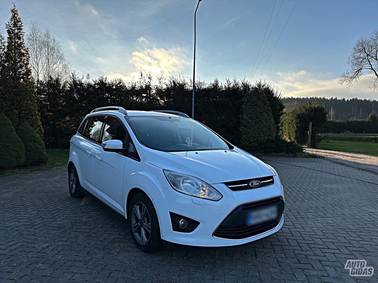 Ford Grand C-MAX 2014 г Минивэн