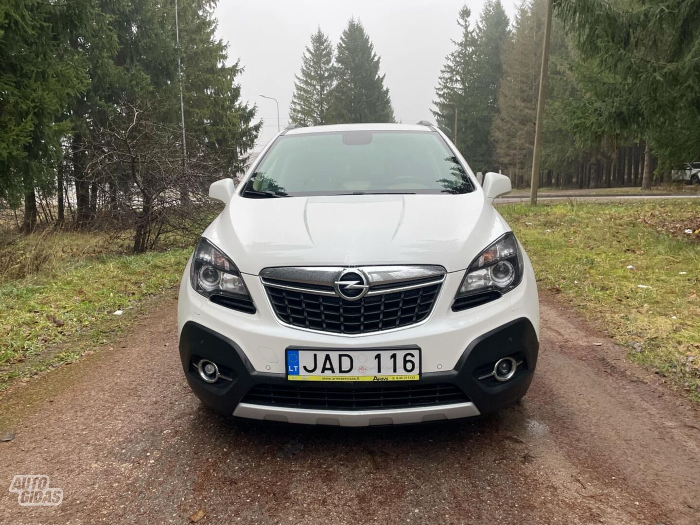 Opel Mokka 2015 m Visureigis / Krosoveris