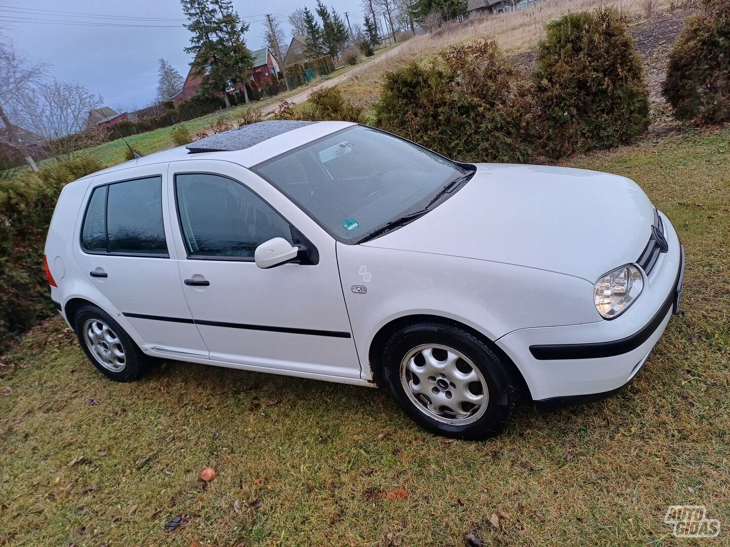 Volkswagen Golf 2000 y Hatchback