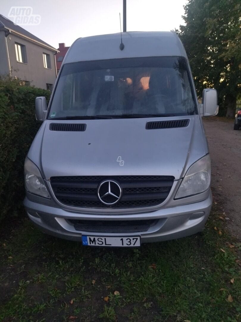 Mercedes-Benz Sprinter 2007 y Minibus