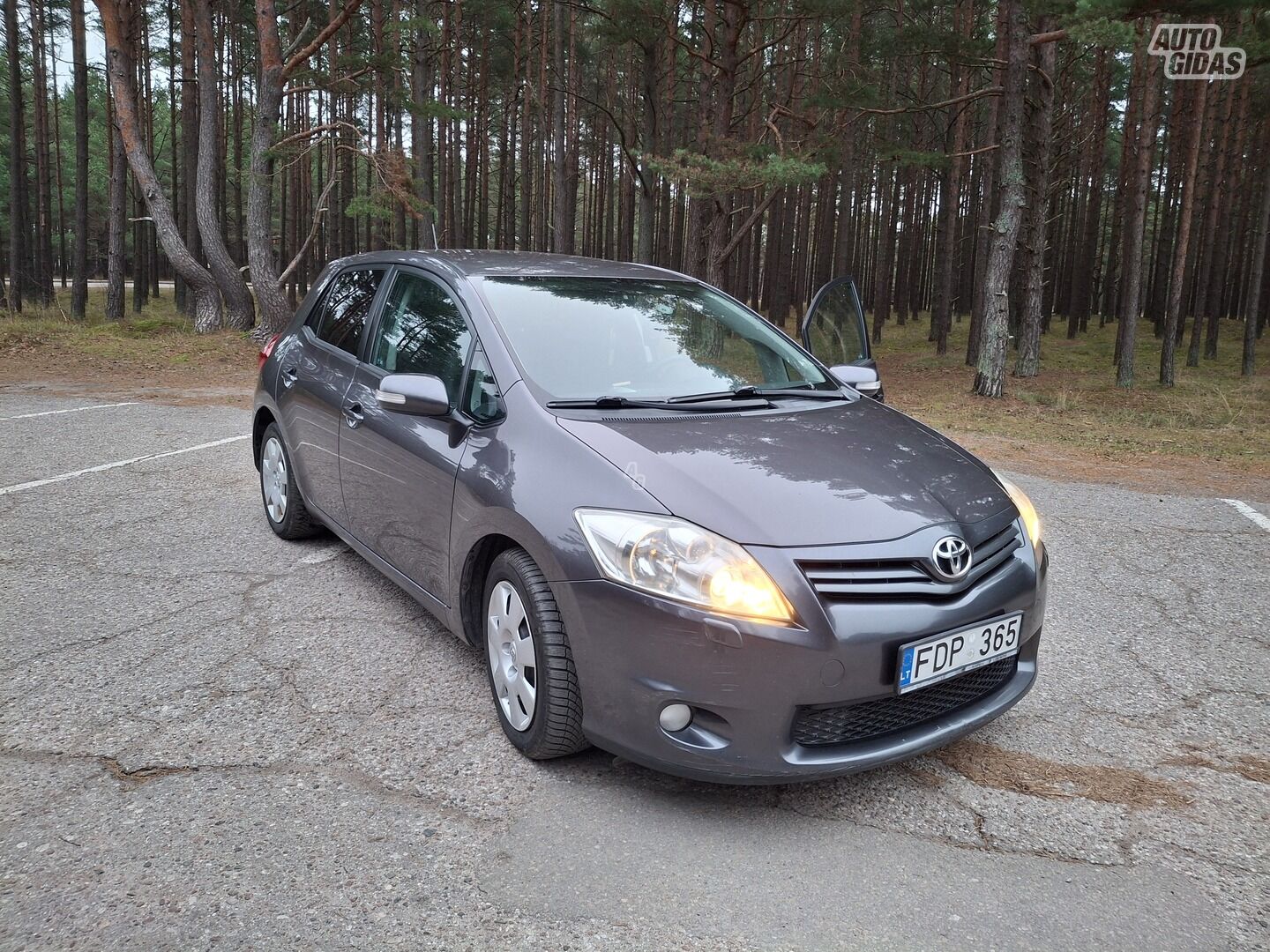 Toyota Auris 2010 г Хэтчбек