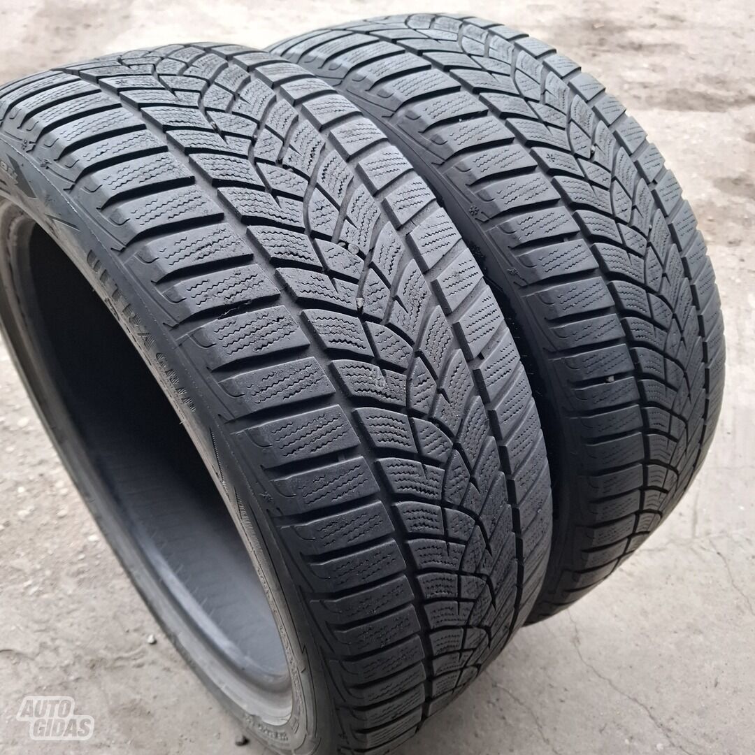 Goodyear R17 žieminės padangos lengviesiems