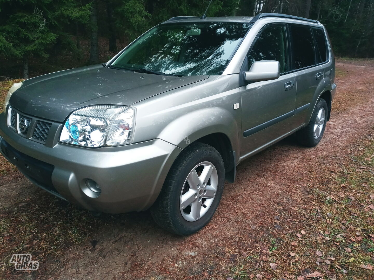 Nissan X-Trail 2005 y Off-road / Crossover