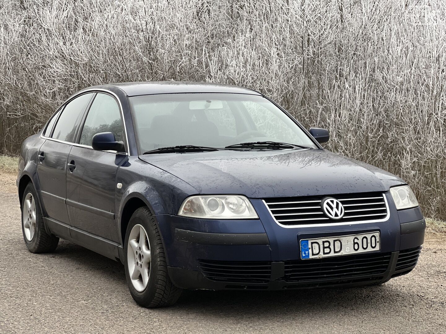 Volkswagen Passat B5.5 TDI 2001 y