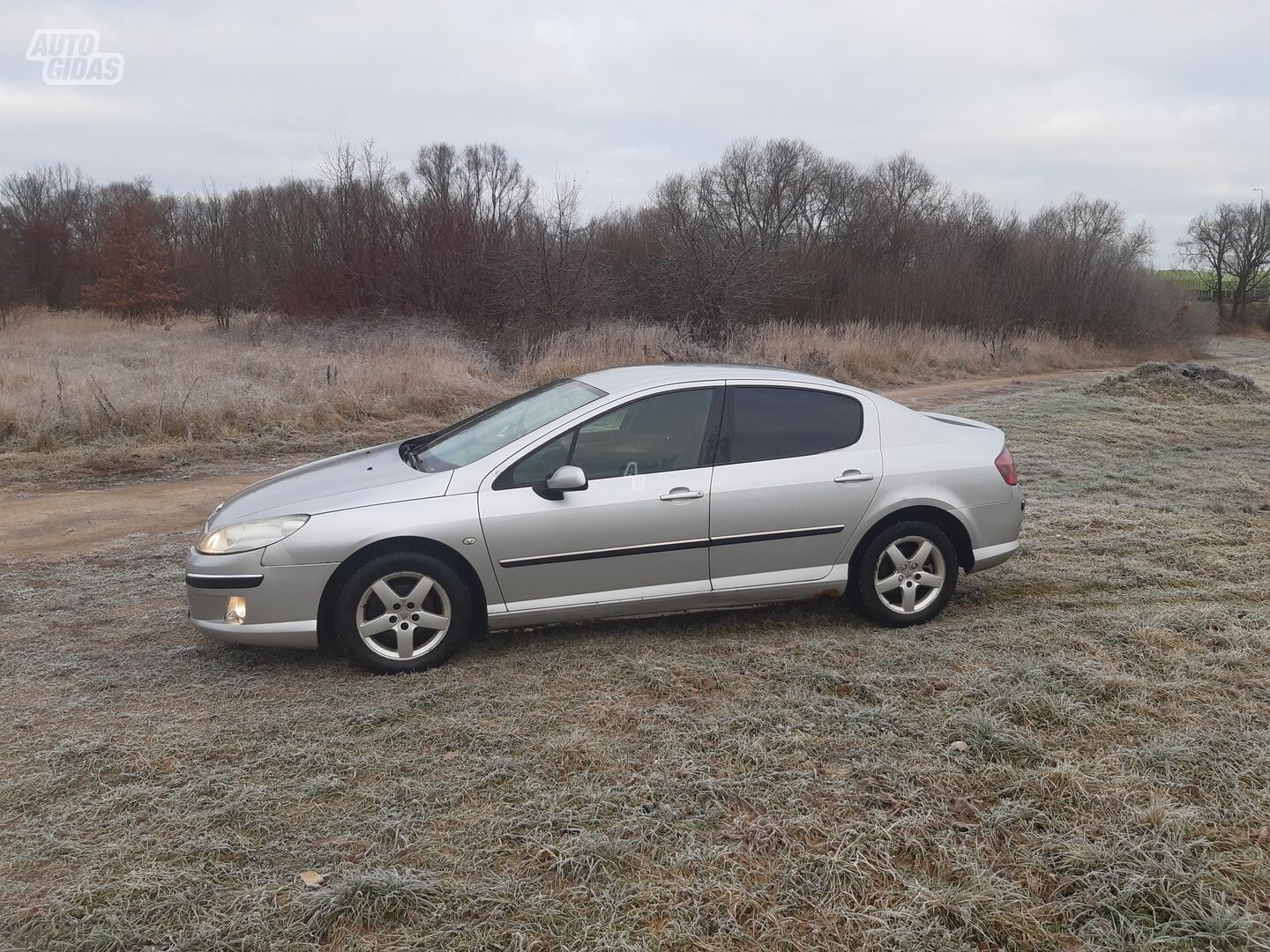 Peugeot 407 HDI 2006 y