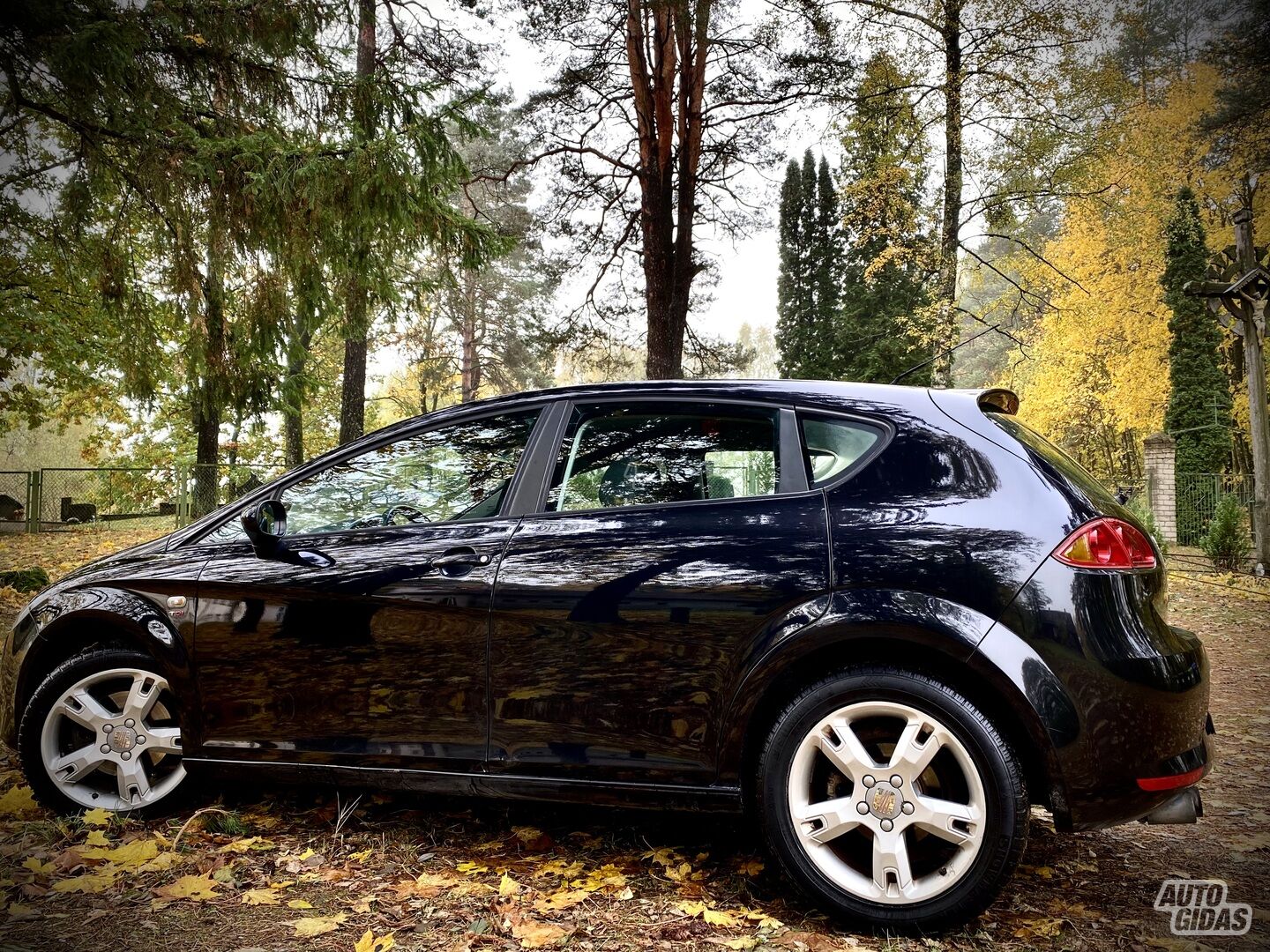 Seat Leon 2007 m Hečbekas