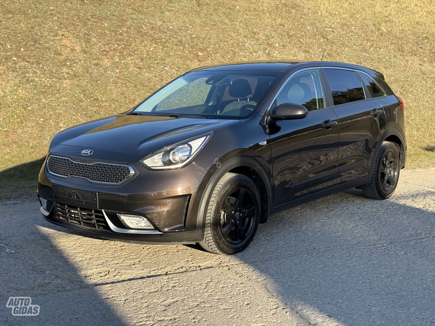 Kia Niro 2018 m Visureigis / Krosoveris