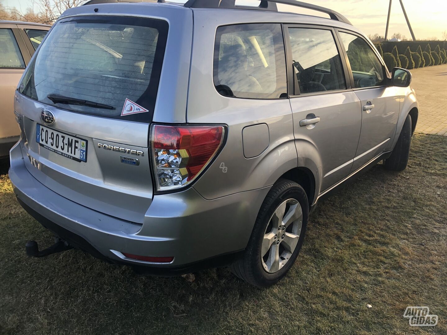 Subaru Forester 2013 y Off-road / Crossover