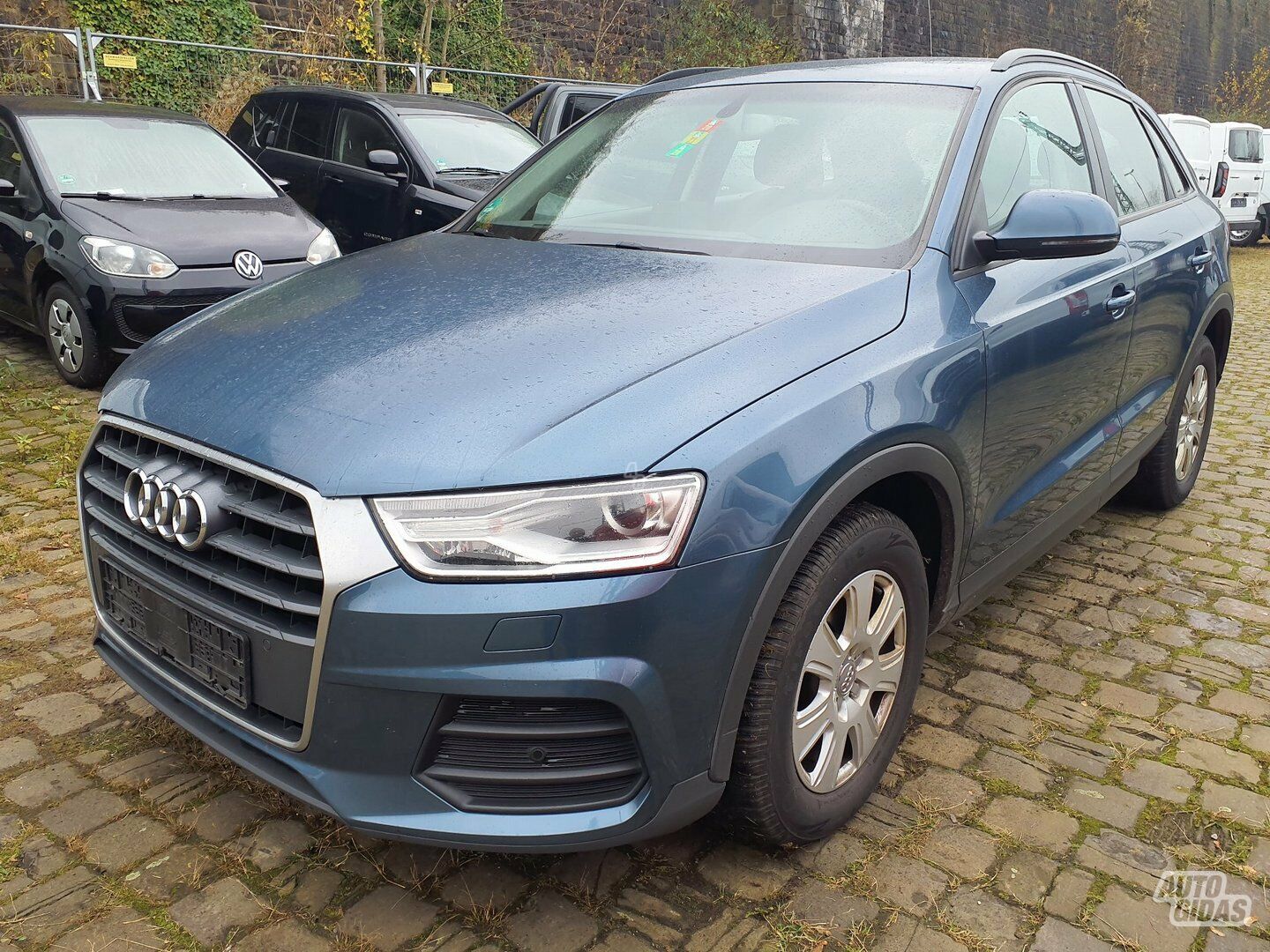 Audi Q3 2015 m Visureigis / Krosoveris