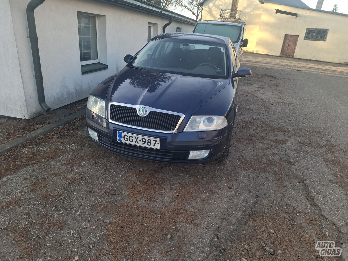 Skoda Octavia 2006 m Hečbekas