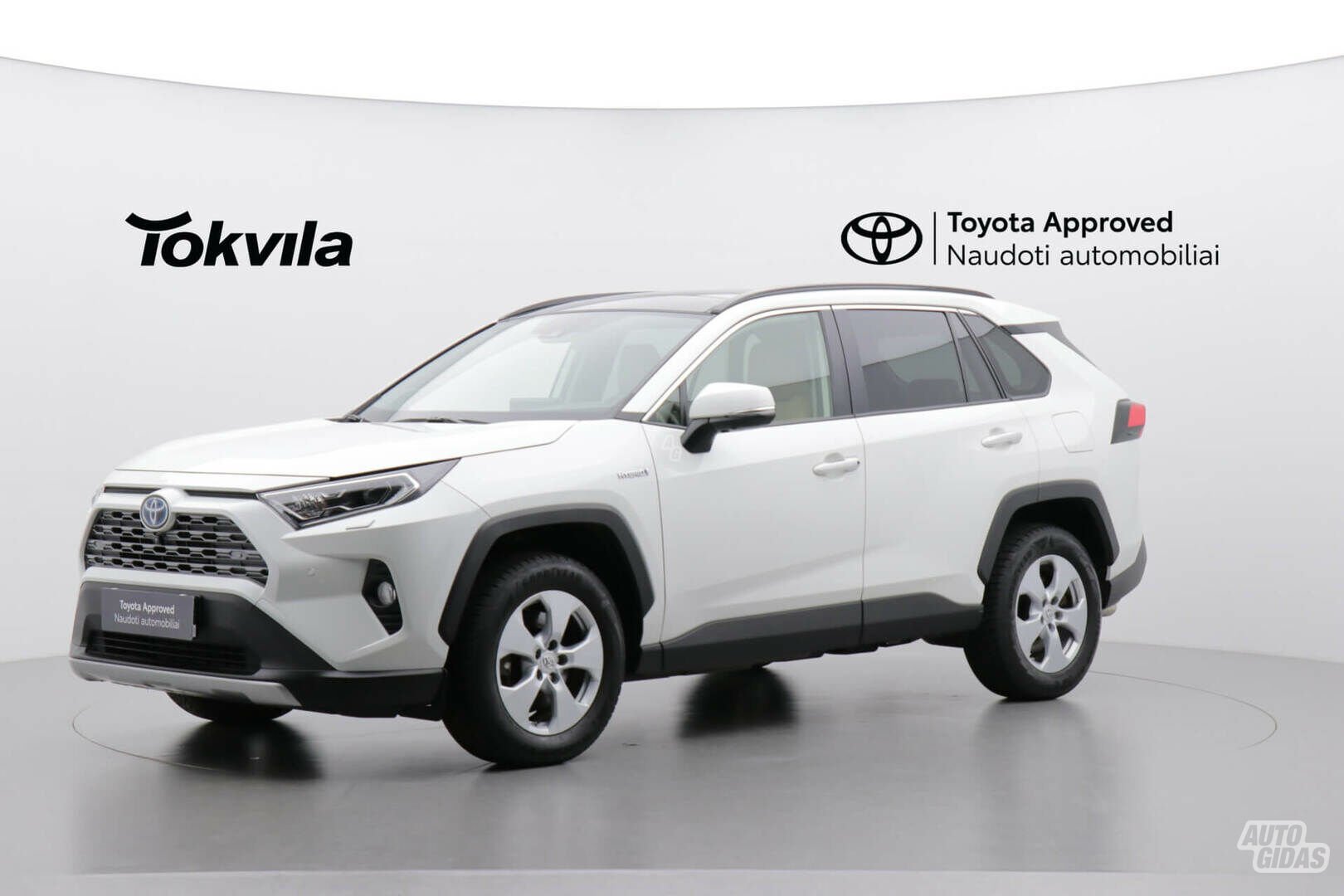 Toyota RAV4 2020 y Off-road / Crossover