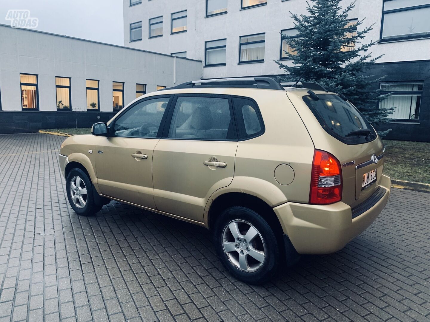 Hyundai Tucson 2004 m Visureigis / Krosoveris