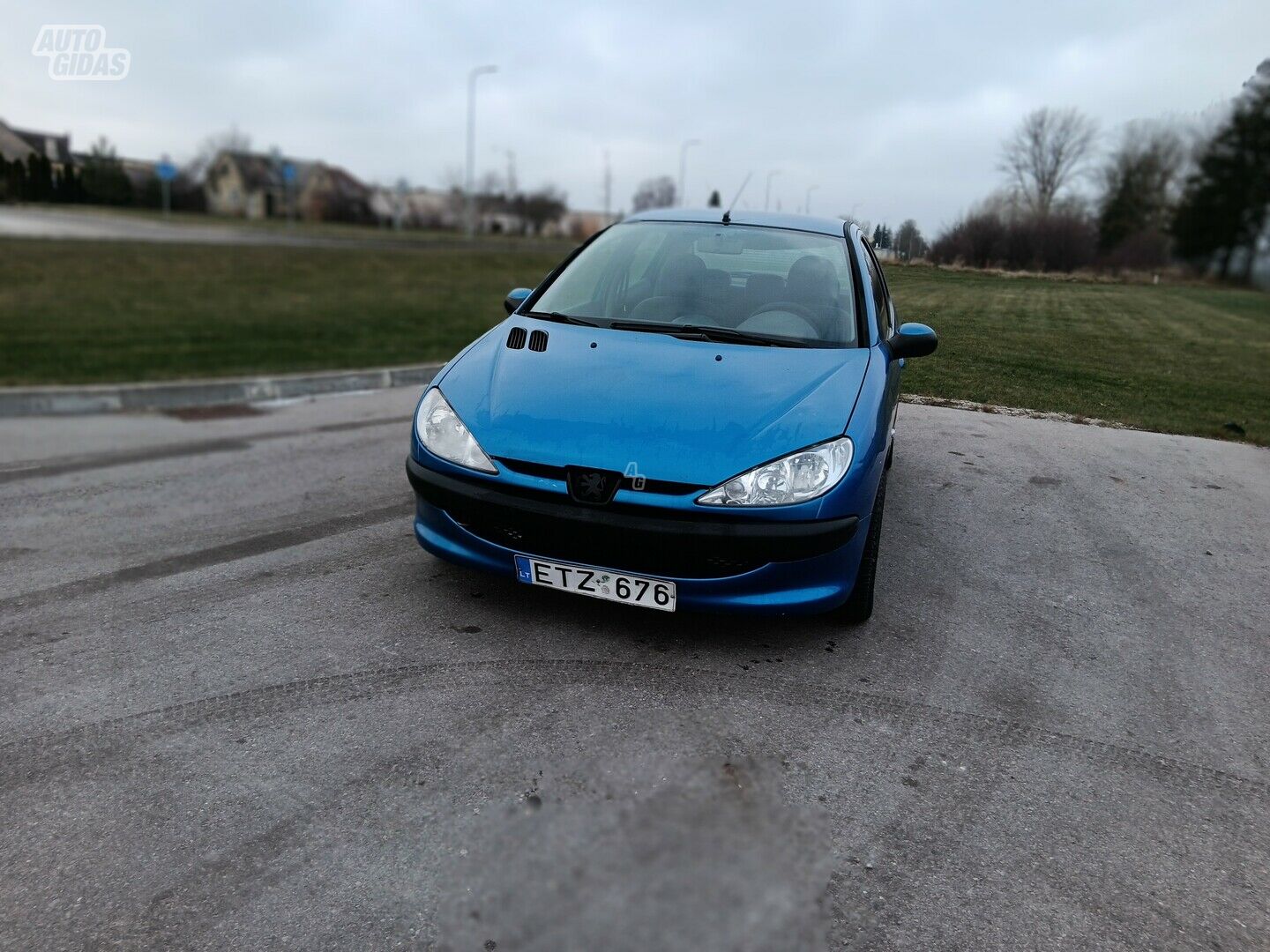 Peugeot 206 2005 m Hečbekas