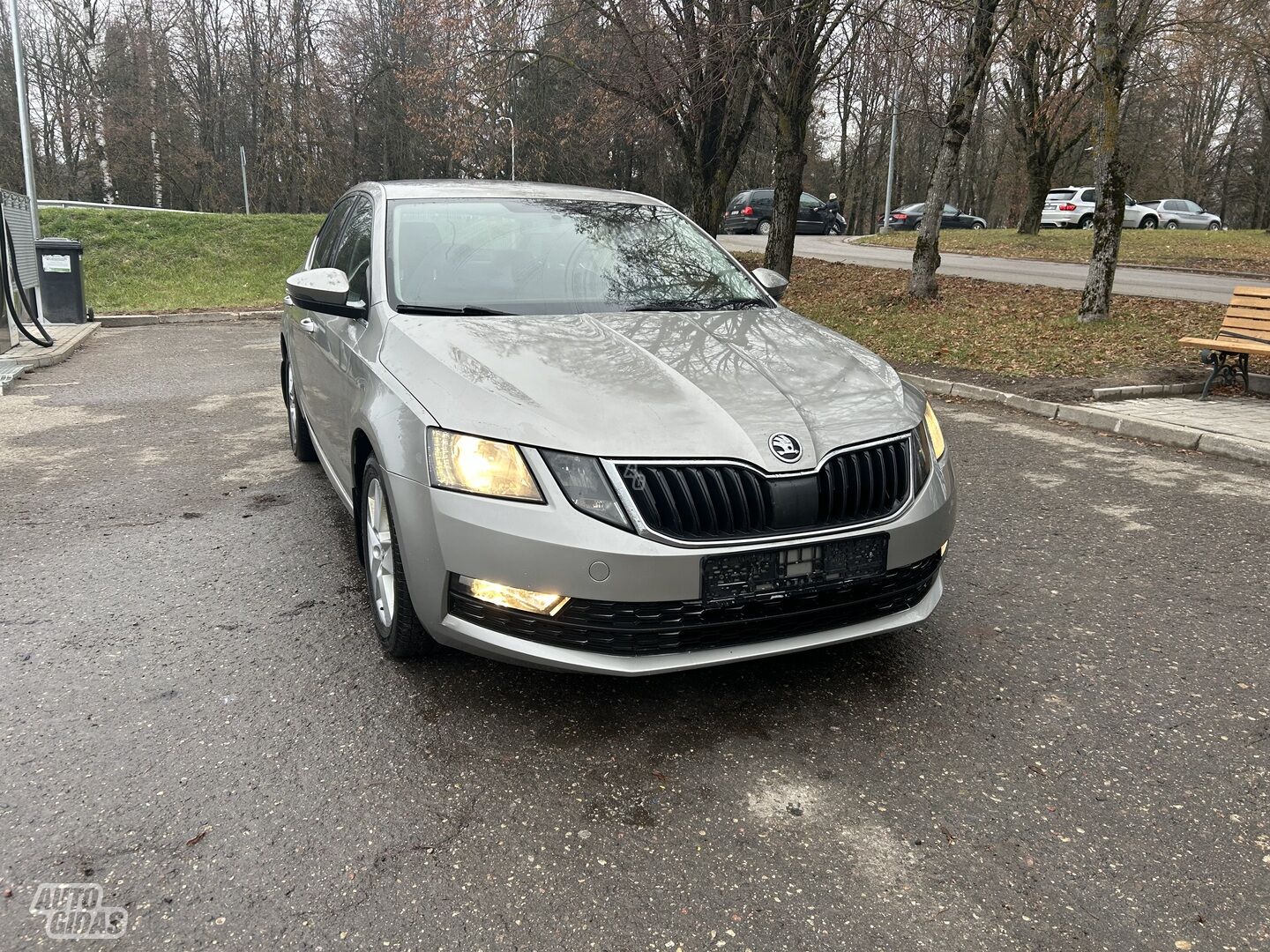 Skoda Octavia TDS 2017 m