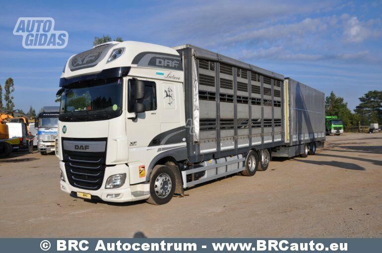 DAF XF 460 FAR 2016 г