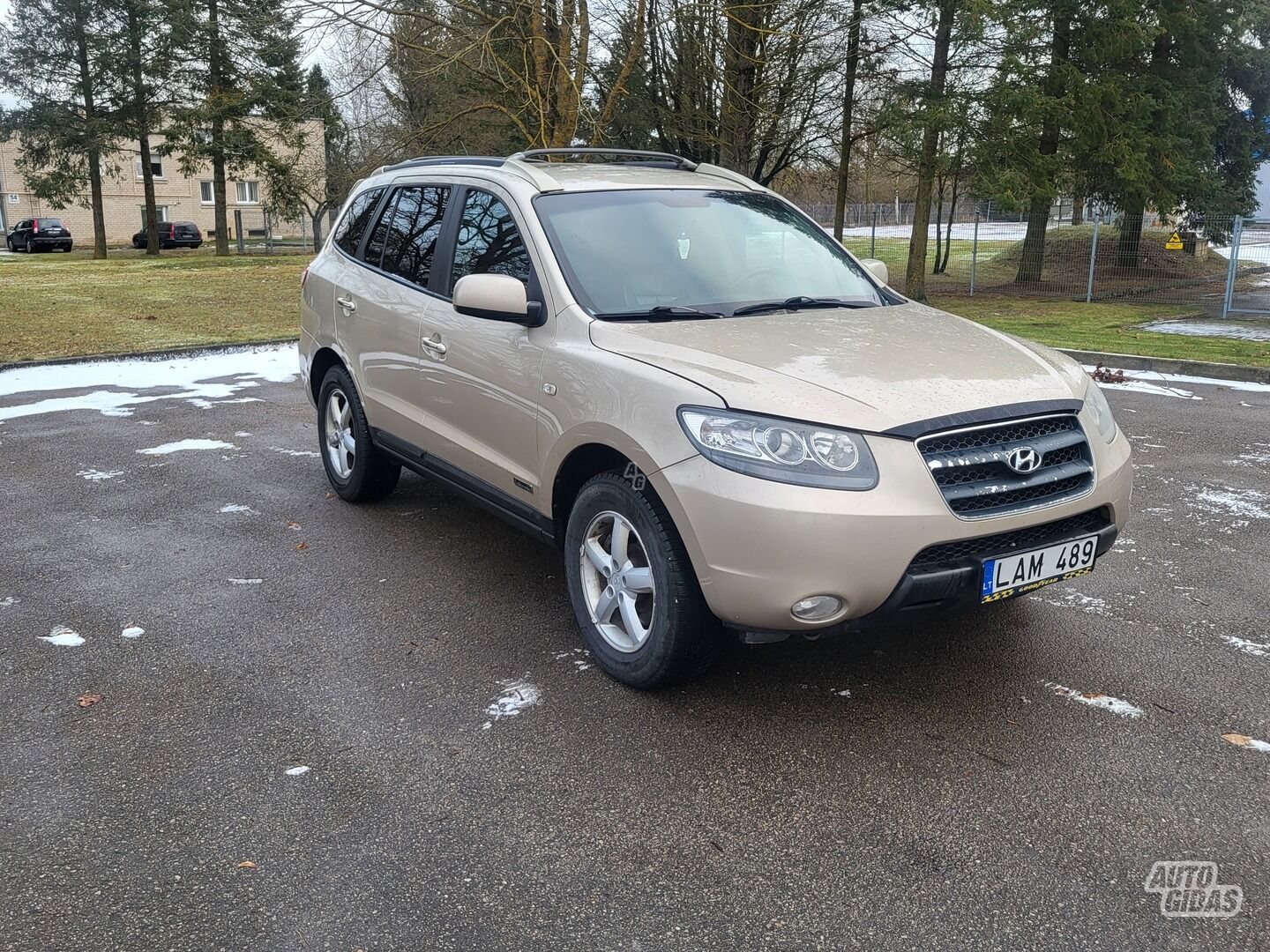 Hyundai Santa Fe 2006 m Visureigis / Krosoveris