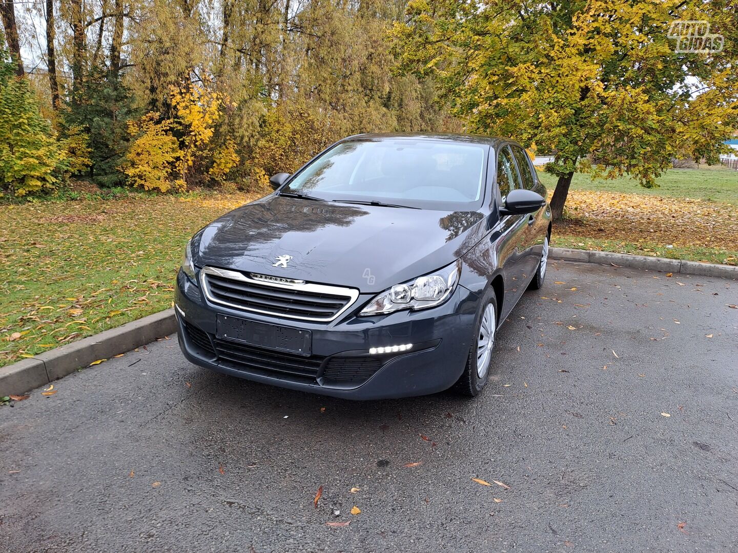 Peugeot 308 2016 m Hečbekas