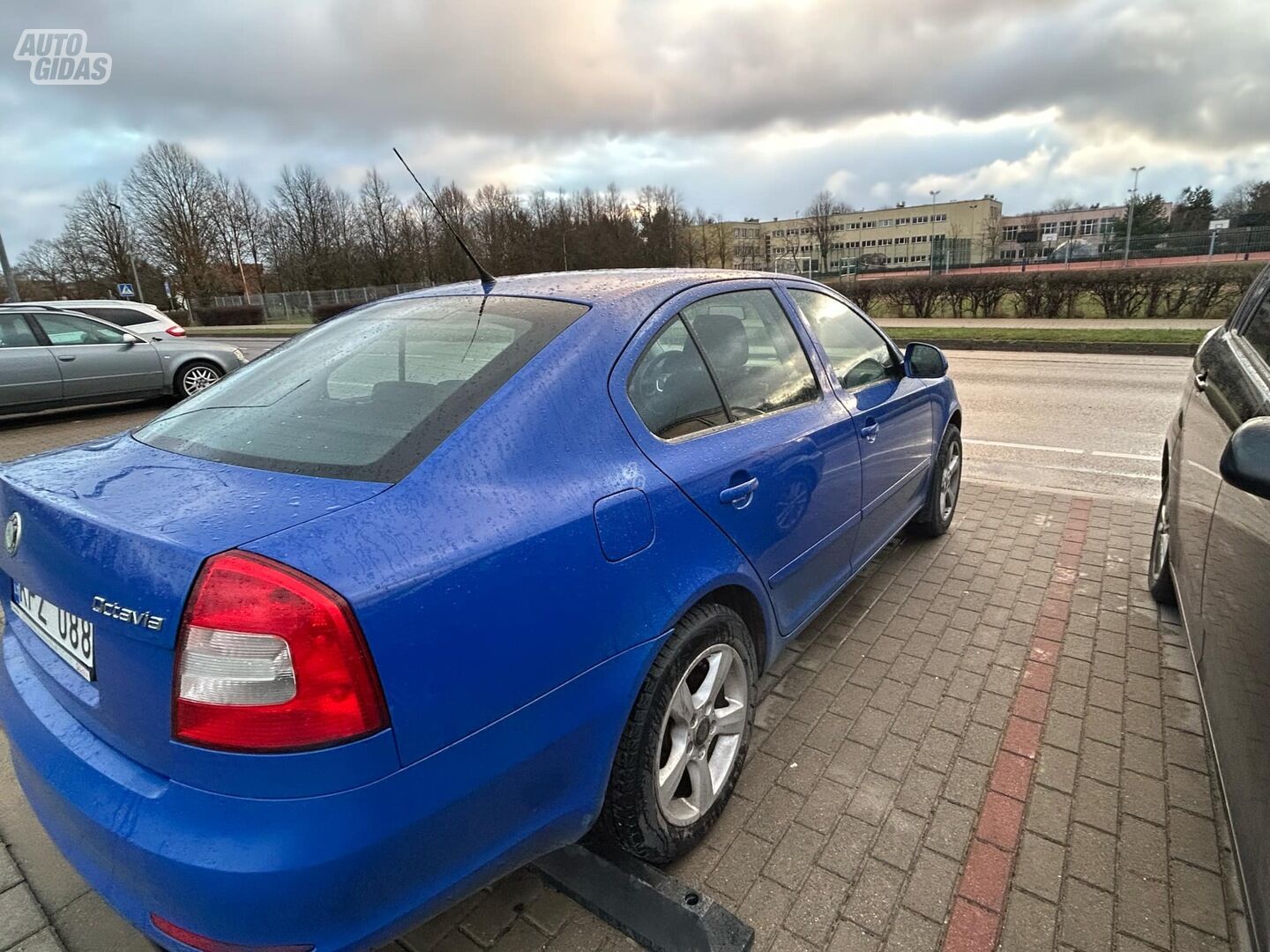 Skoda Octavia 2009 m Hečbekas