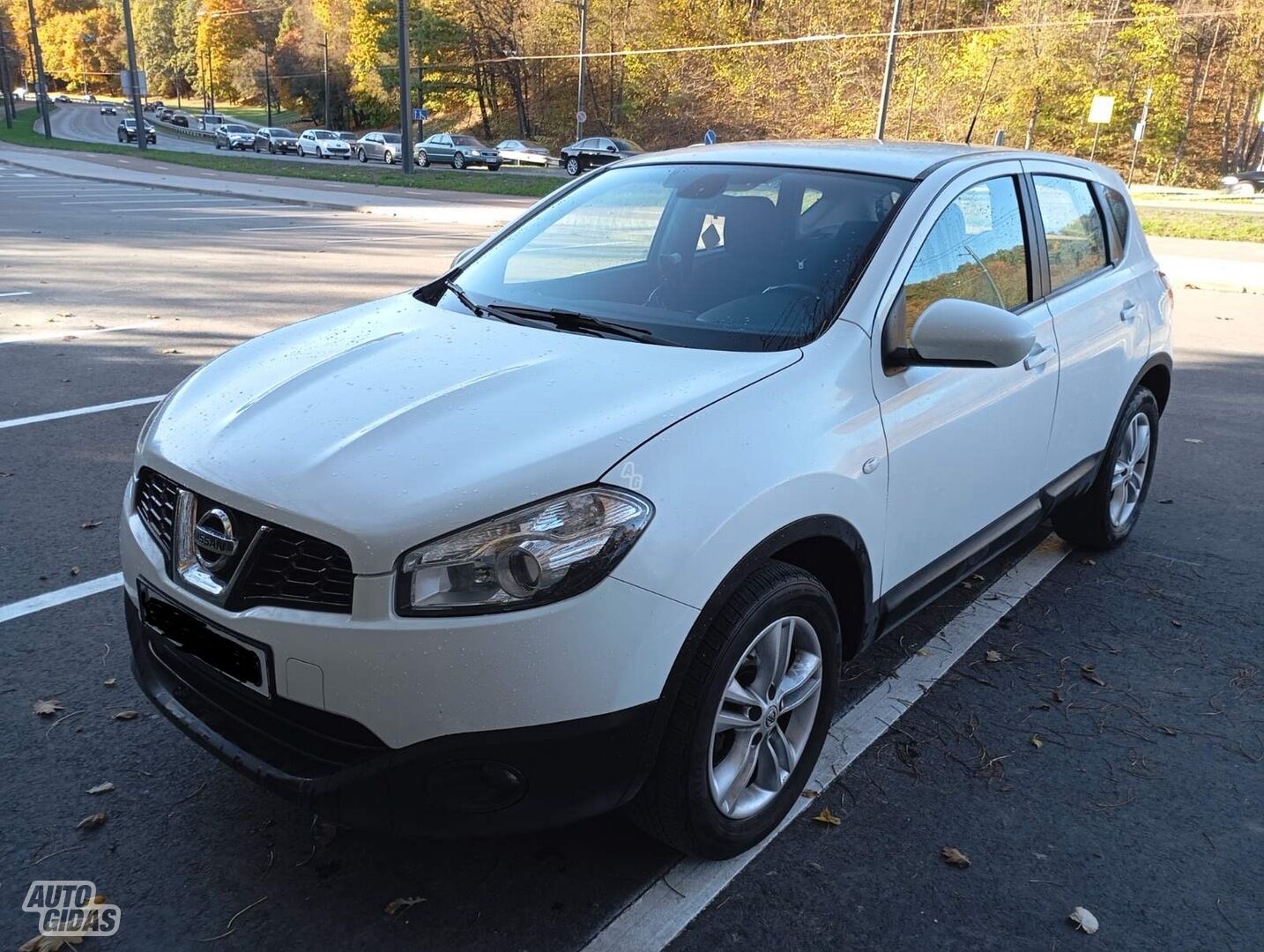 Nissan Qashqai 2012 y Off-road / Crossover