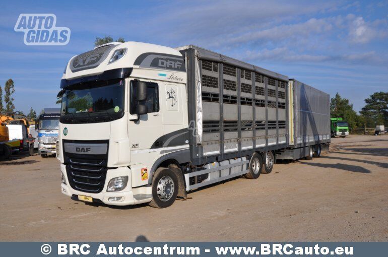 DAF XF 460 FAR 2016 y